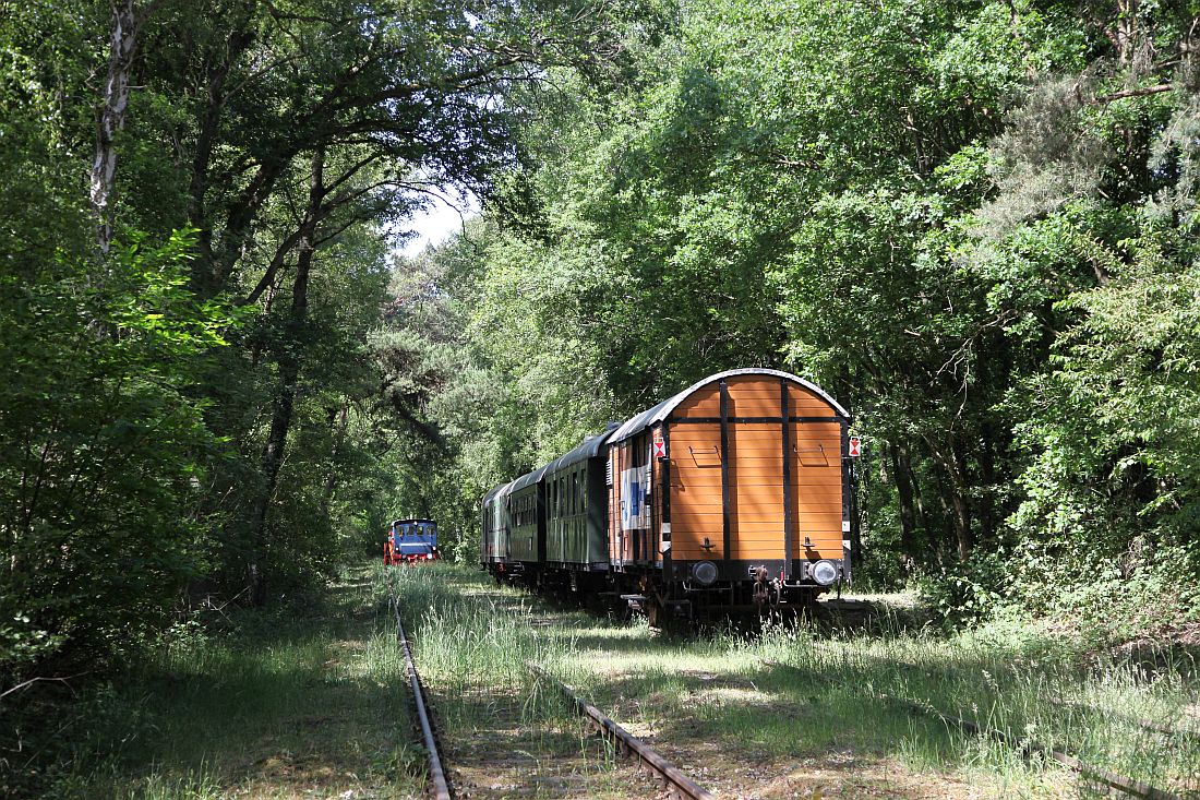 http://www.desiro.net/bilder/2020-Pfingsten-18.jpg