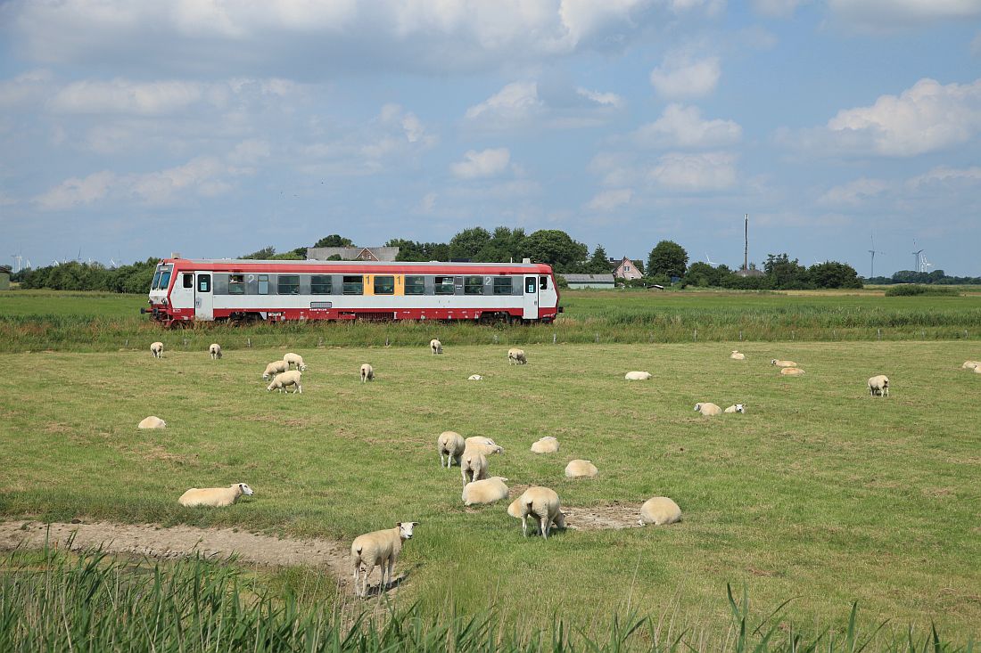 http://www.desiro.net/bilder/D-Reise2021-13.jpg